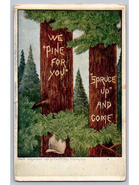 1908 Denver Colorado Pine Spruce Humor Postcard Leota Woy Artist Antique
